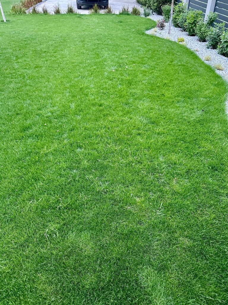 Lawn