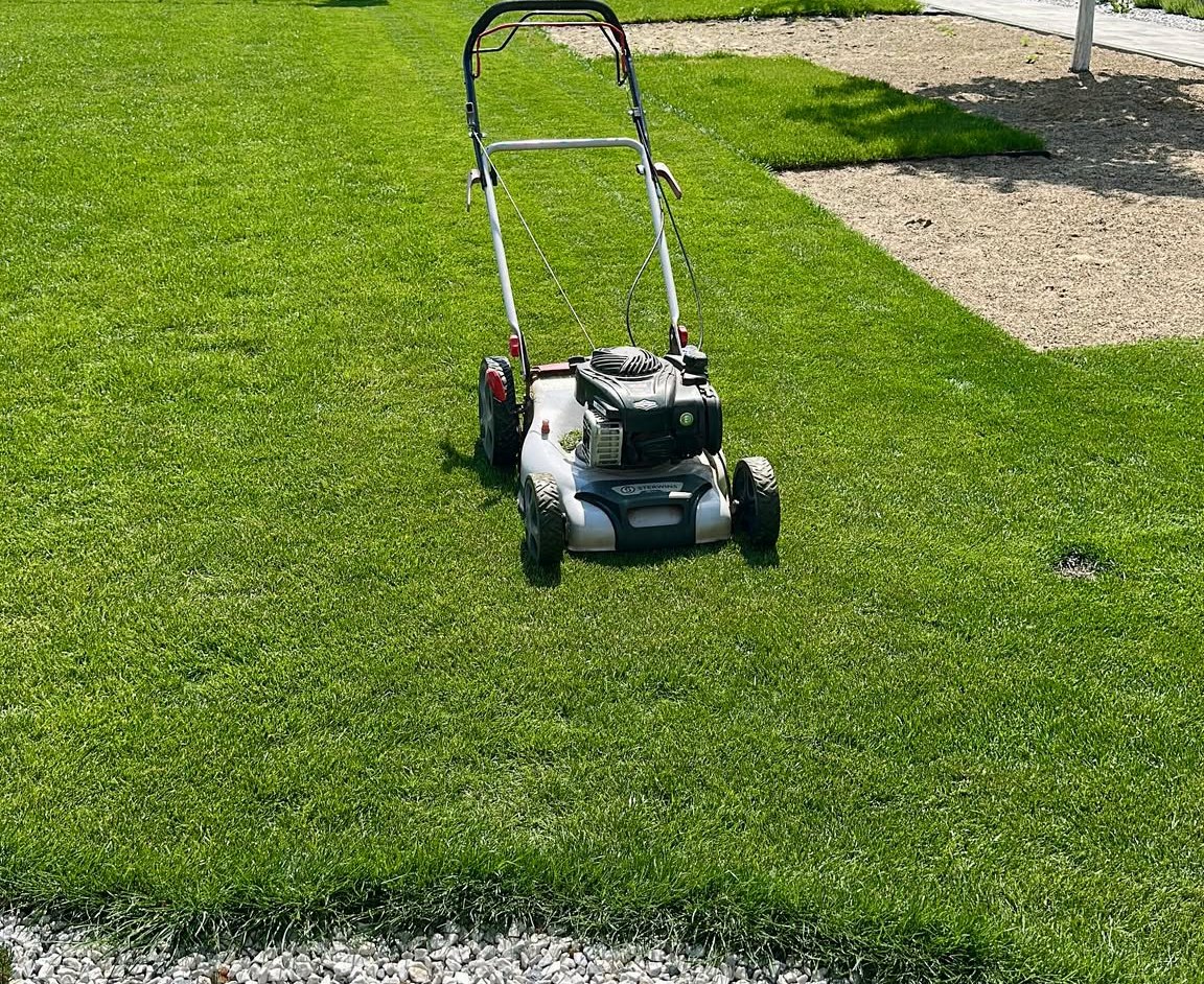 Lush Lawns 101: How to Grow and Maintain a Healthy Lawn Lawn